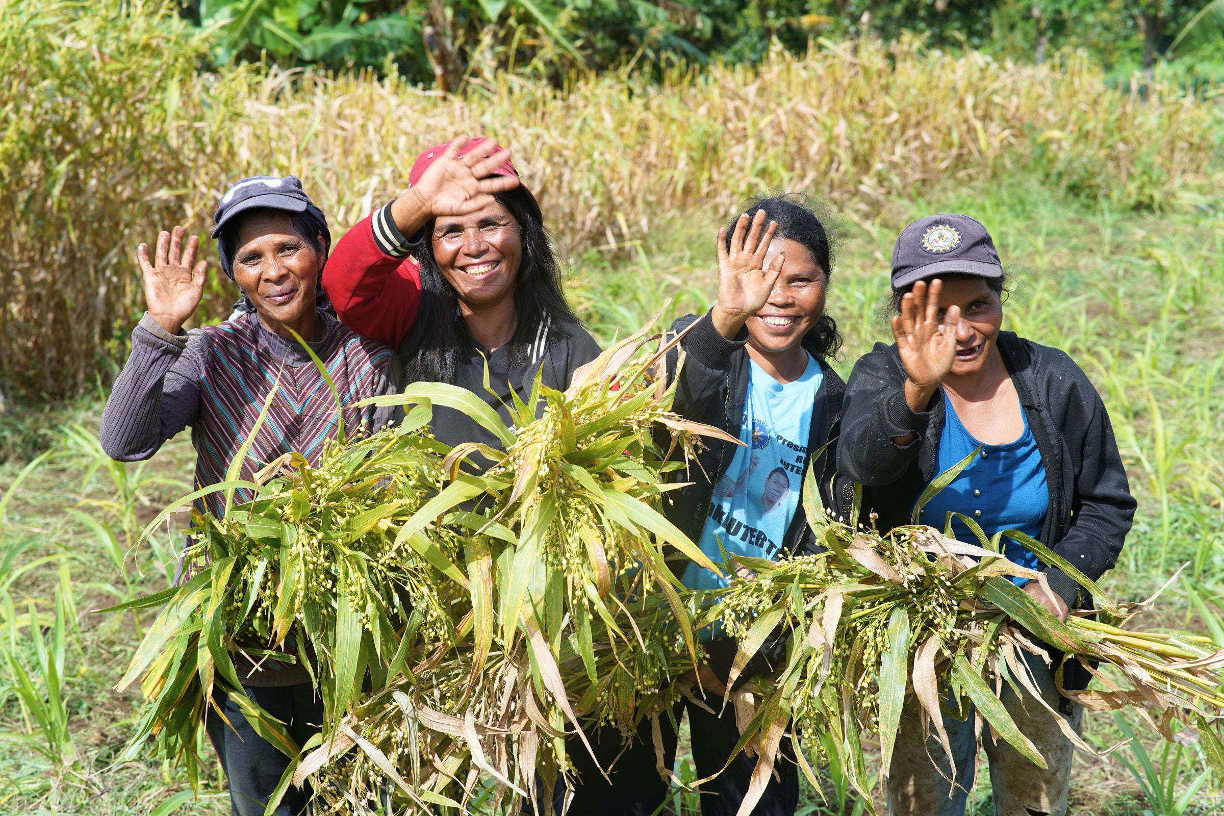 Adlai farmers