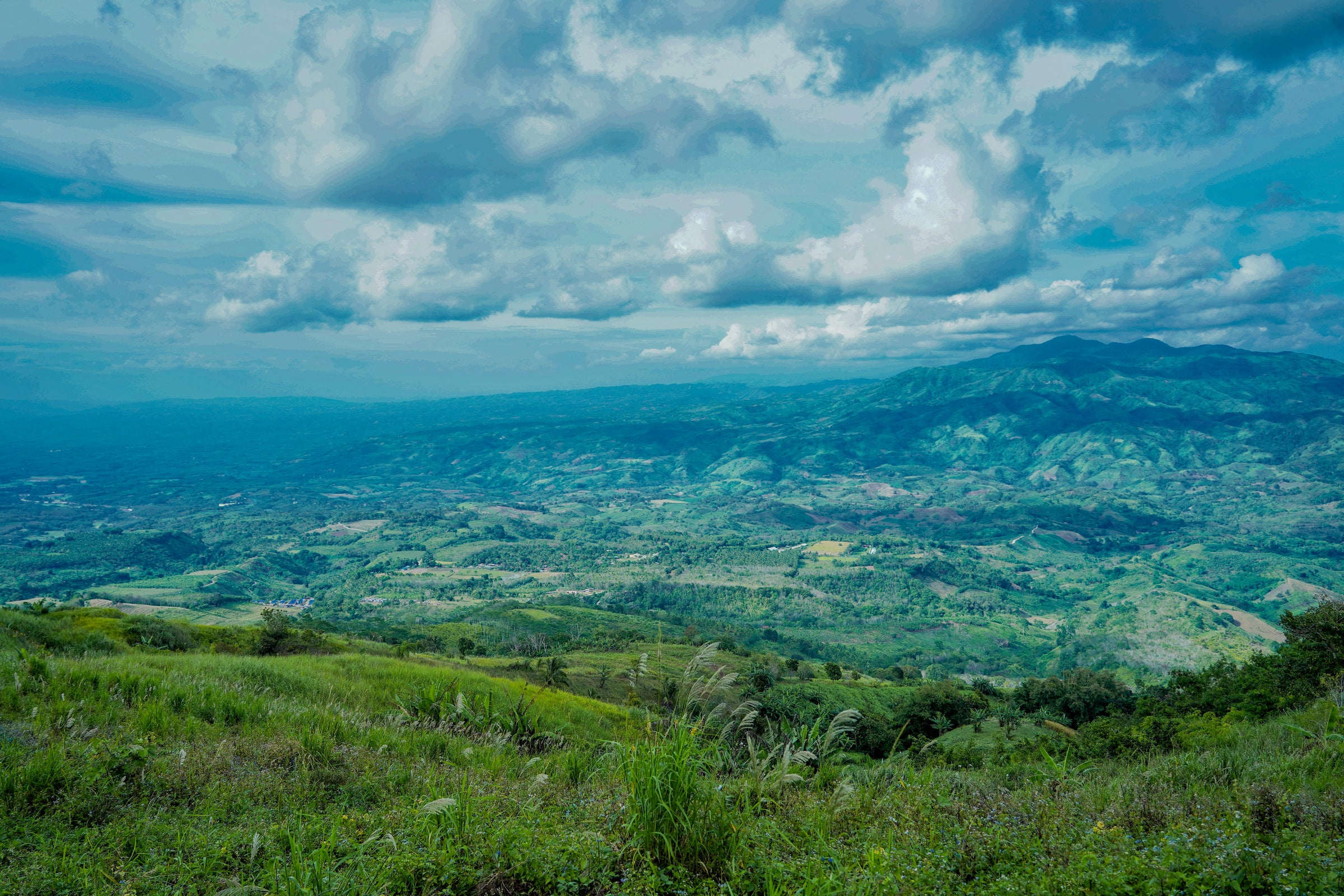 Adlai highlands